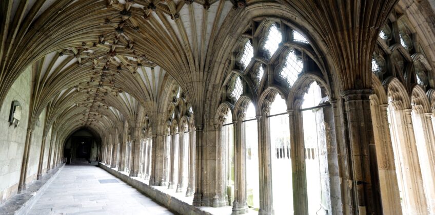 WhatsApp Image 2025-11-17 at 21.11.35_c365eca0 k