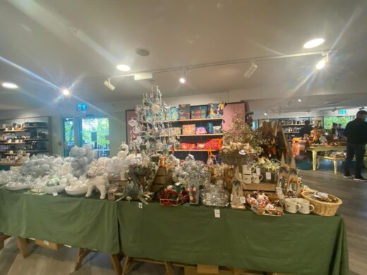 WhatsApp Image 2025-11-17 at 21.11.37_1bcead24