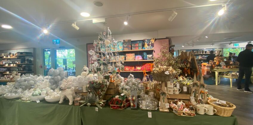 WhatsApp Image 2025-11-17 at 21.11.37_1bcead24