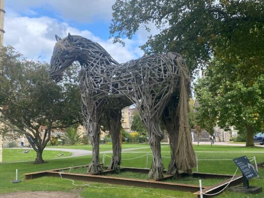 WhatsApp Image 2025-11-17 at 21.11.42_fb2fb826