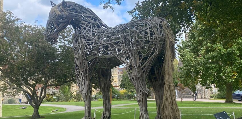 WhatsApp Image 2025-11-17 at 21.11.42_fb2fb826